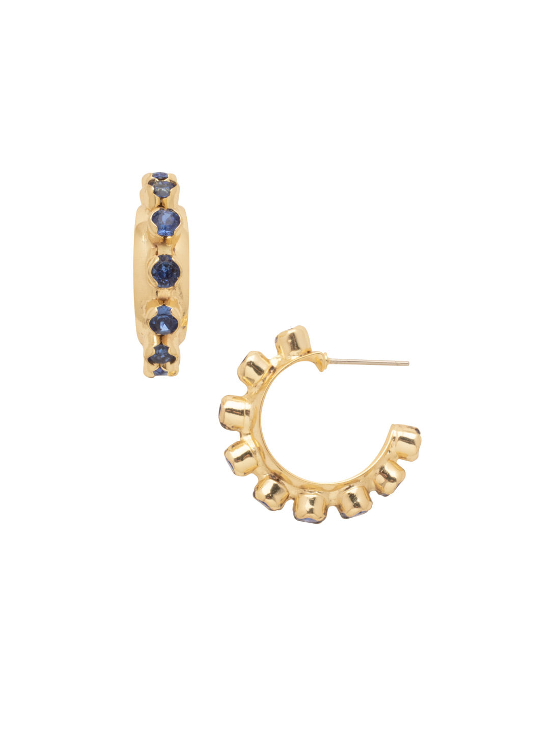 Marnie Hoop Earring - EFA2BGBRC